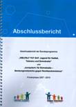 Abschlussbericht der Bundesprogramme "VIELFALT TUT GUT. Jugend für Vielfalt, Toleranz und Demokratie" und "kompetent. für Demokratie - Beratungsnetzwerke gegen Rechtsextremismus" Förderphase 2007 - 2010