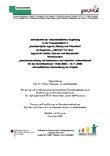 Jahresbericht der wissenschaftlichen Begleitung im Themencluster: "Auseinandersetzung mit historischem und aktuellem Antisemitismus" 2008