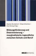 Bildungsförderung und Diskriminierung - marginalisierte Jugendliche zwischen Schule und Beruf