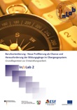 Berufsorientierung - Neue Profilierung als Chance und Herausforderung der Bildungsgänge im Übergangssystem. Grundlagentext zur Entwicklungsarbeit