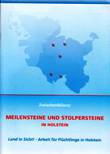 Zwischenbilanz: Meilensteine und Stolpersteine in Holstein