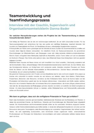 Cover von Teamentwicklung und Teamfindungsprozess. Interview mit der Coachin, Supervisorin und Organisationsentwicklerin Danna Bader