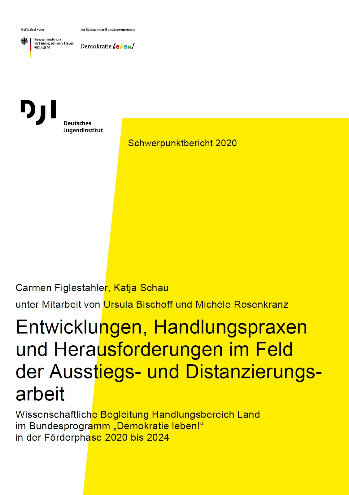 Auf dem Bild steht Entwicklungen, Handlungspraxen und Herausforderungen im Feld der Ausstiegs- und Distanzierungs-arbeit Wissenschaftliche Begleitung Handlungsbereich Land im Bundesprogramm „Demokratie leben!“ in der Förderphase 2020 bis 2024