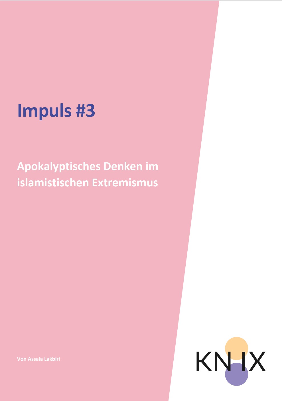 Das Bild ist in zwei Hälften geteilt. Die eine Seite ist rosa, auf der steht geschrieben Impuls #3 Apokalyptisches Denken im islamistischen Extremismus, die andere ist weiß mit dem Logo von KN:IX