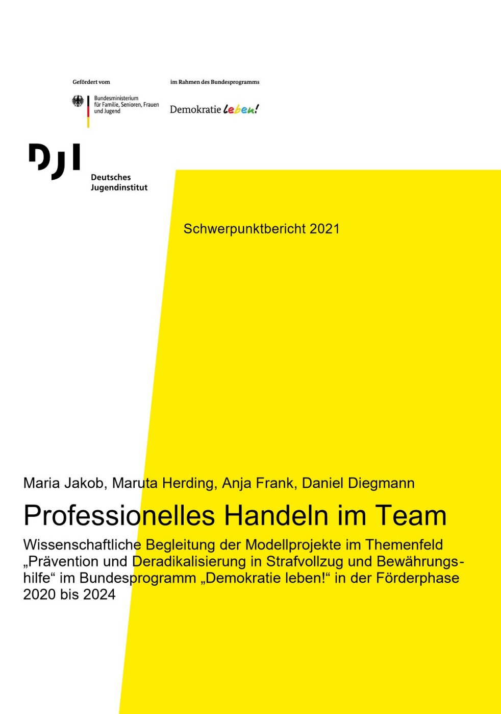 Eine große Fläche des Covers ist in gelb gefärbt. Im unteren Bereich steht der Titel des Berichts "Professionelles Handeln im Team".