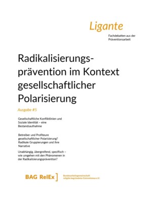 Der Hintergrund des Covers ist weiß und nur der Titel "Radikalisierungsprävention im Kontext gesellschaftlicher Polarisierung".