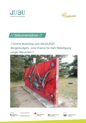 Auf dem Bild sieht man ein Foto. Auf dem Foto ist mutmaßlich ein Teil eines Parks zu sehen, in dem frei eine Mauer steht die rot angemalt ist und auf der sich wiederum ein Graffitibild befindet. Über dem Foto steht Dokumentation Online Workshop vom 08.02.2021: Bürgerbudgets - eine Chance für mehr Beteiligung junger Menschen