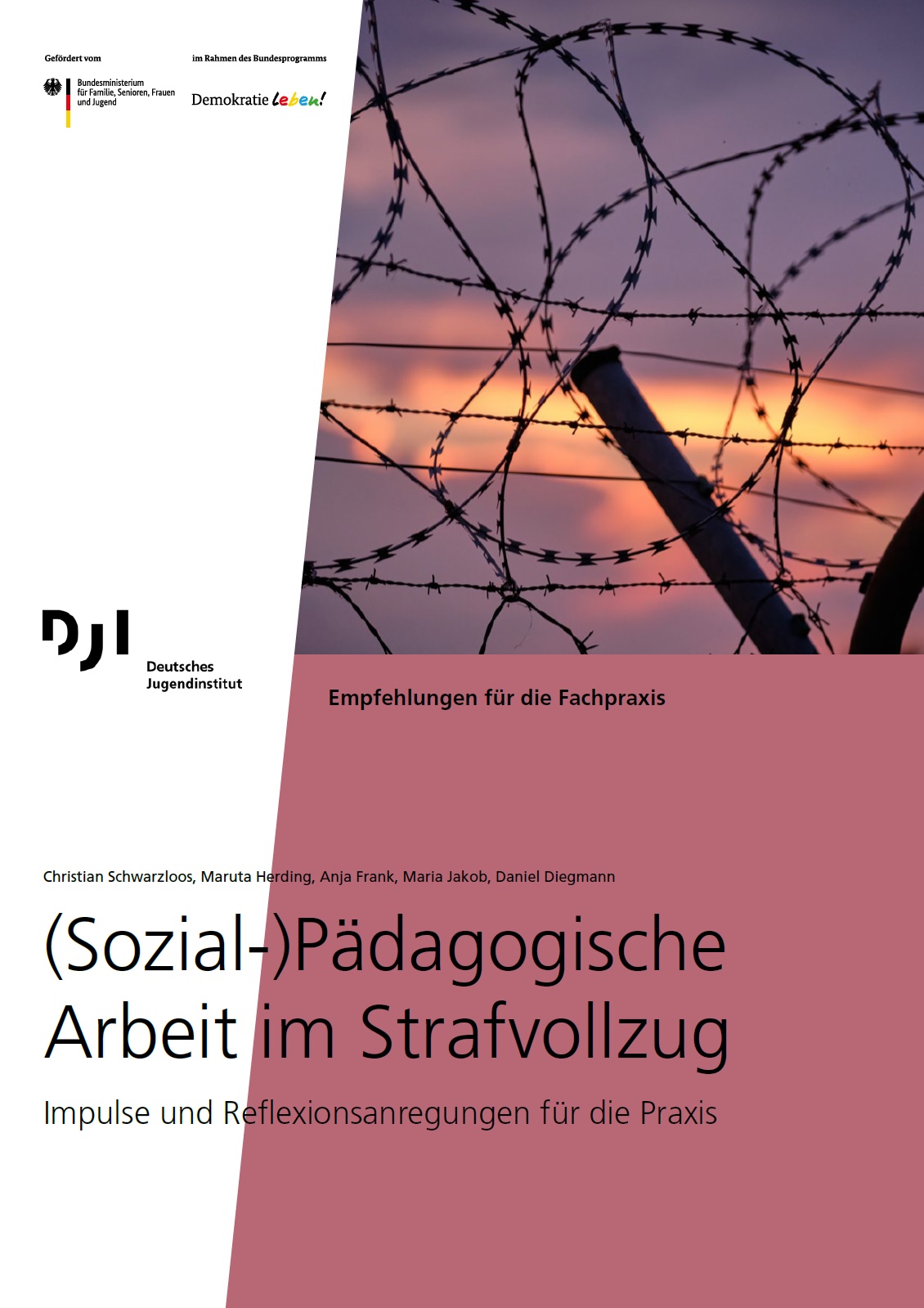 Auf em Bild sieht man Stacheldraht. Darunter steht (Sozial-)Pädagogische Arbeit im Strafvollzug.