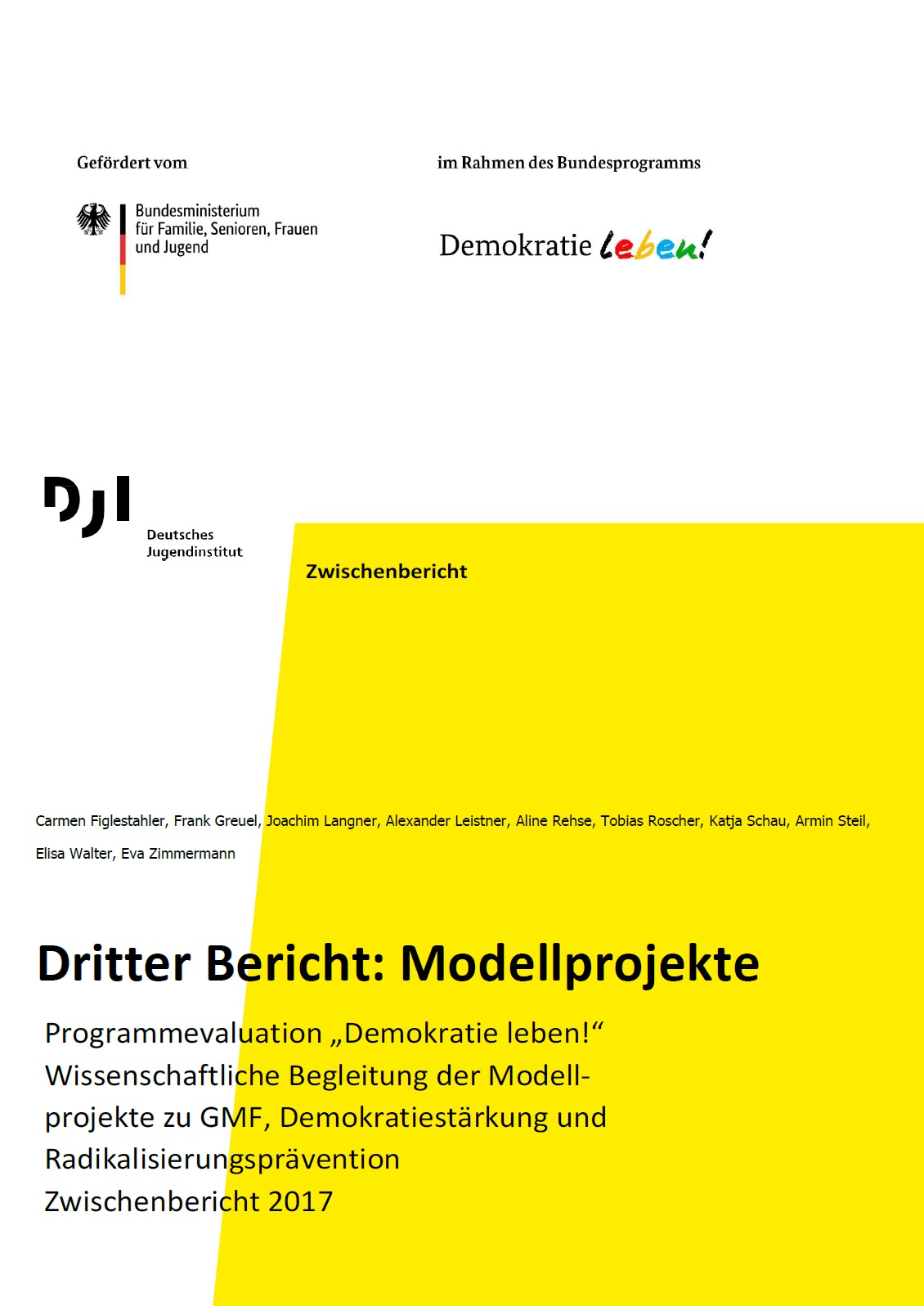 Dritter Bericht: Modellprojekte. Programmevaluation „Demokratie leben!“ Wissenschaftliche Begleitung der Modellprojekte zu GMF, Demokratiestärkung und Radikalisierungsprävention. Zwischenbericht 2017