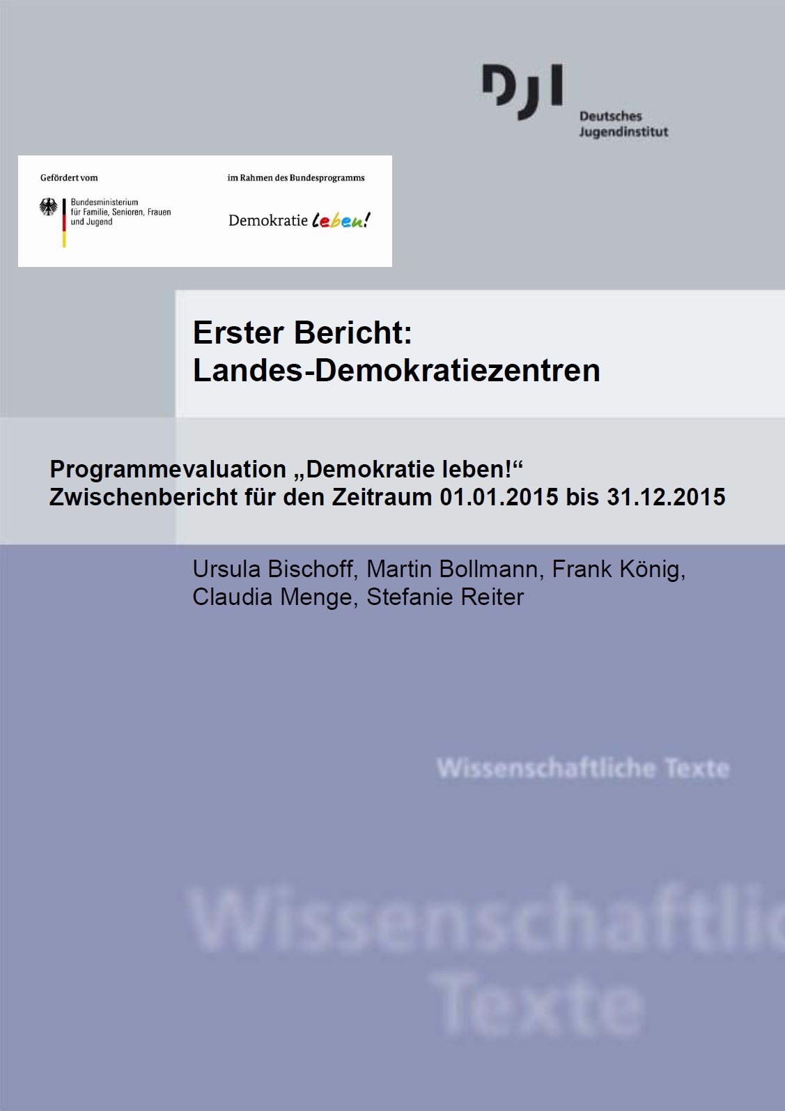 Auf dem Bild steht Erster Bericht: Landes-Demokratiezentren. Programmevaluation „Demokratie leben!“. Zwischenbericht für den Zeitraum 01.01.2015 bis 31.12.2015