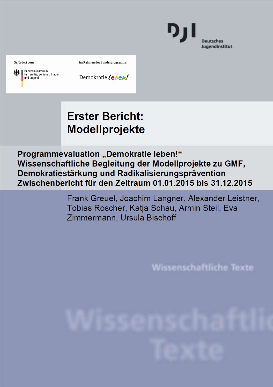 Auf dem Bild steht Erster Bericht: Modellprojekte. Programmevaluation „Demokratie leben!“. Wissenschaftliche Begleitung der Modellprojekte zu GMF, Demokratiestärkung und Radikalisierungsprävention. Zwischenbericht für den Zeitraum 01.01.2015 bis 31.12.2015