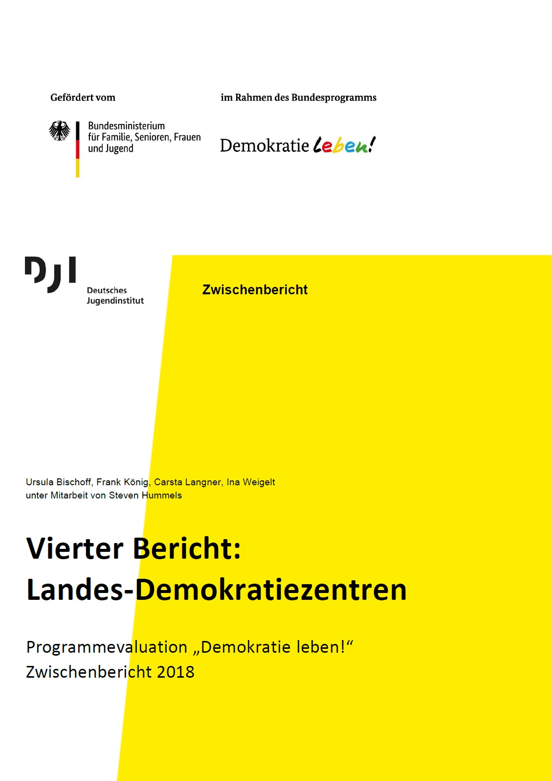 Auf dem Bild steht Vierter Bericht: Landes-Demokratiezentren. Programmevaluation „Demokratie leben!“. Zwischenbericht 2018