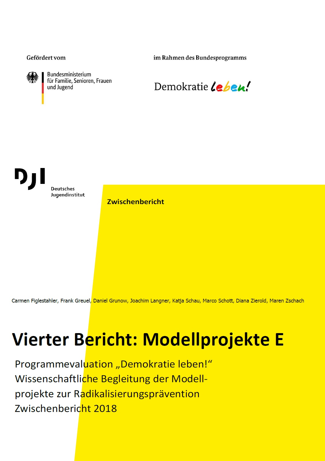 Auf dem Bild steht Vierter Bericht: Modellprojekte E Programmevaluation „Demokratie leben!“ Wissenschaftliche Begleitung der Modellprojekte zur Radikalisierungsprävention Zwischenbericht 2018