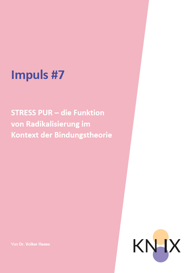 Das Cover ist in rosa gefärbt und au fdiesem rosanen Feld steht der Titel "Stress Pur- die Funktion vo Radikalisierung im Kontext der Bindungstheorie". Im unteren linken Feld steht das Symbol von KN:IX.