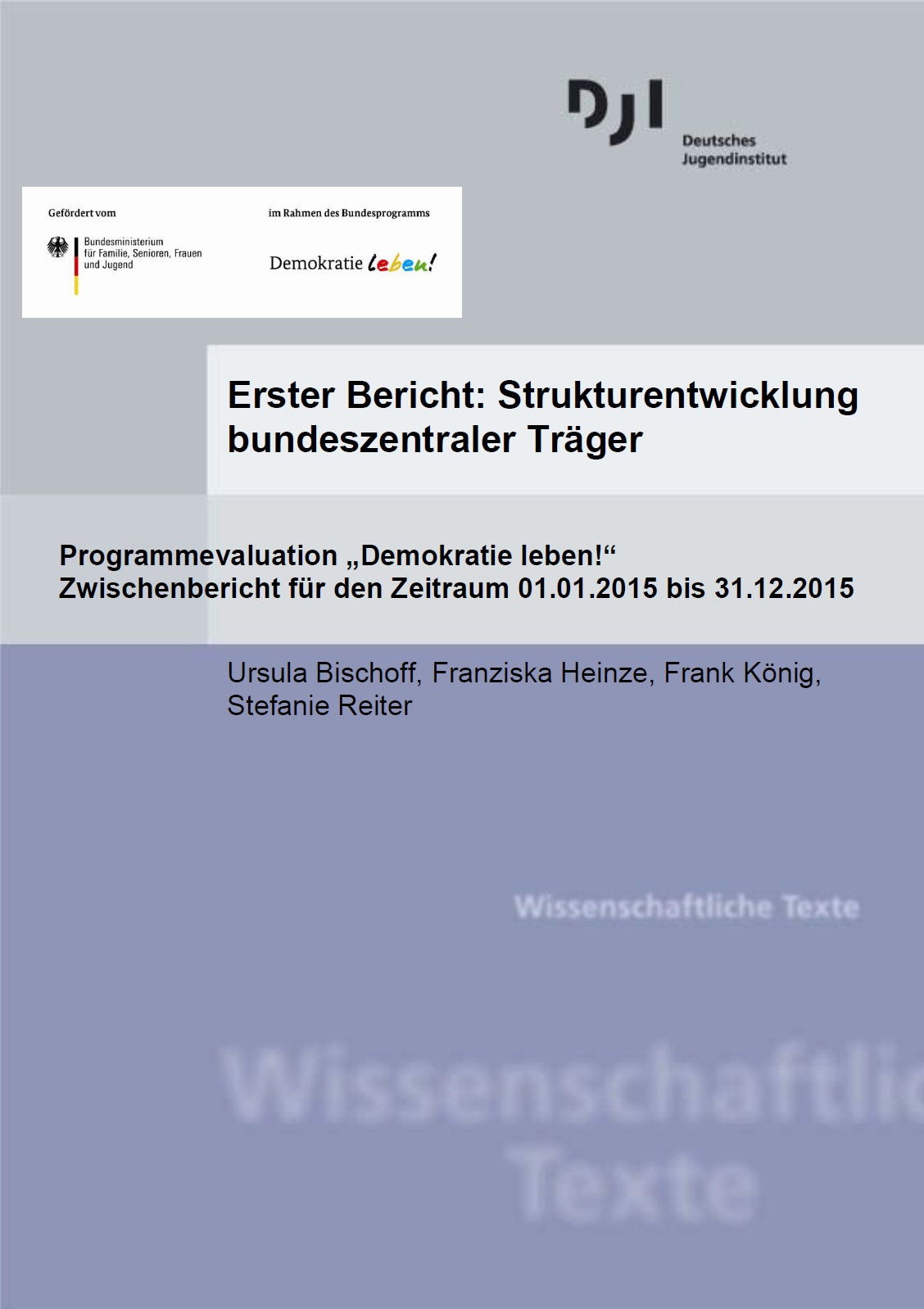 Auf dem Bild steht Erster Bericht: Strukturentwicklung bundeszentraler Träger Programmevaluation „Demokratie leben!“ Zwischenbericht für den Zeitraum 01.01.2015 bis 31.12.2015