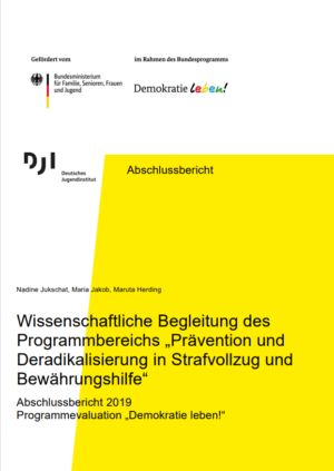 Abschlussbericht: Wissenschaftliche Begleitung des Programmbereichs „Prävention und Deradikalisierung in Strafvollzug und Bewährungshilfe“. Abschlussbericht 2019 Programmevaluation Demokratie leben!“