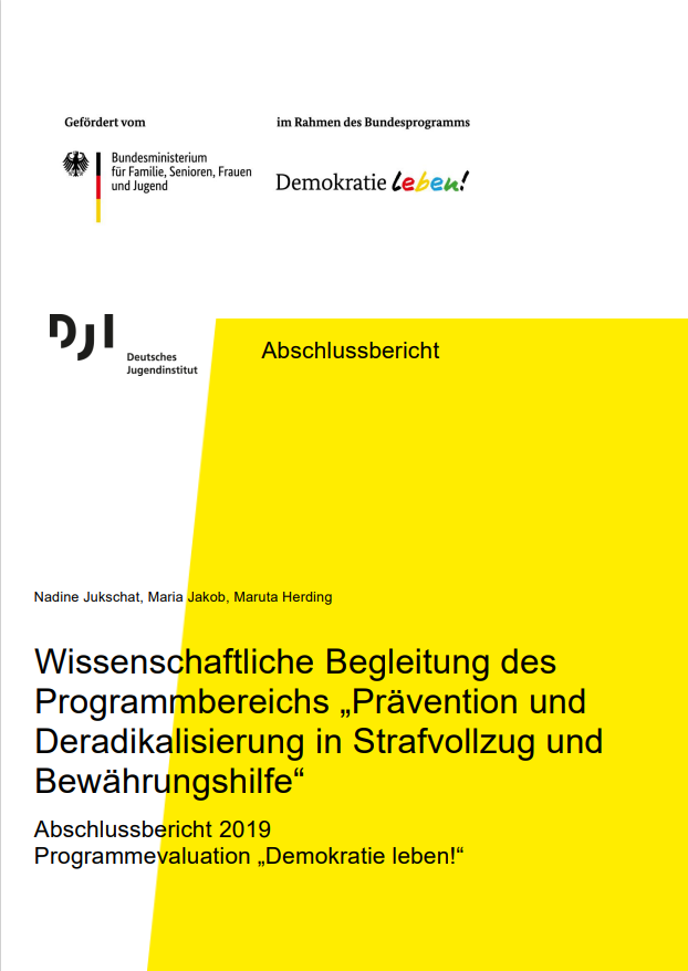 Abschlussbericht: Wissenschaftliche Begleitung des Programmbereichs „Prävention und Deradikalisierung in Strafvollzug und Bewährungshilfe“. Abschlussbericht 2019 Programmevaluation Demokratie leben!“