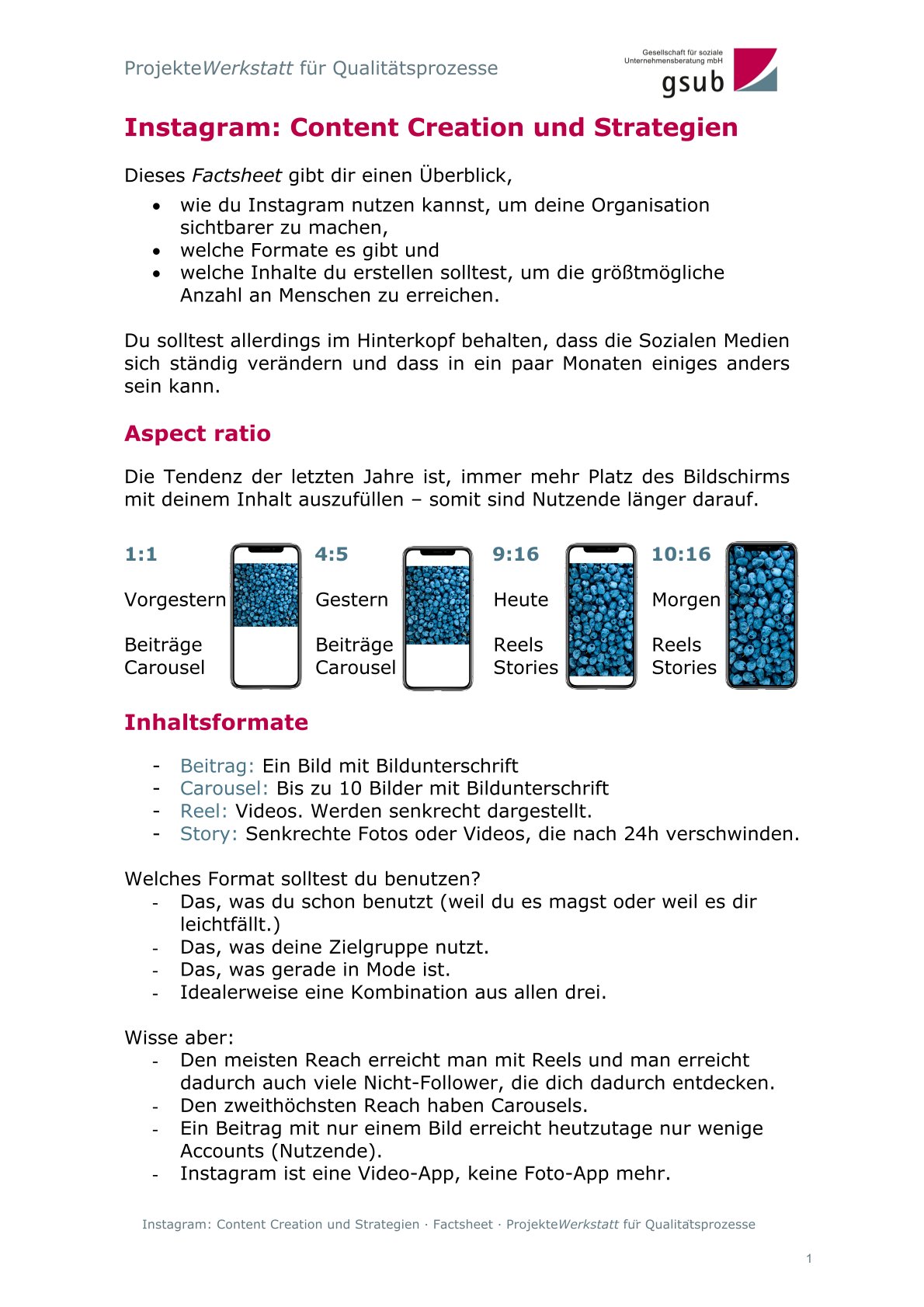 Auf dem Bild ist die erste Seite des Fact Sheets; Instagram- Content Creation und Strategien zu sehen, auf der eine Übersicht gegeben wird und die Inhalte "Aspect ratio" und "Inhaltsformate" behandelt werden.