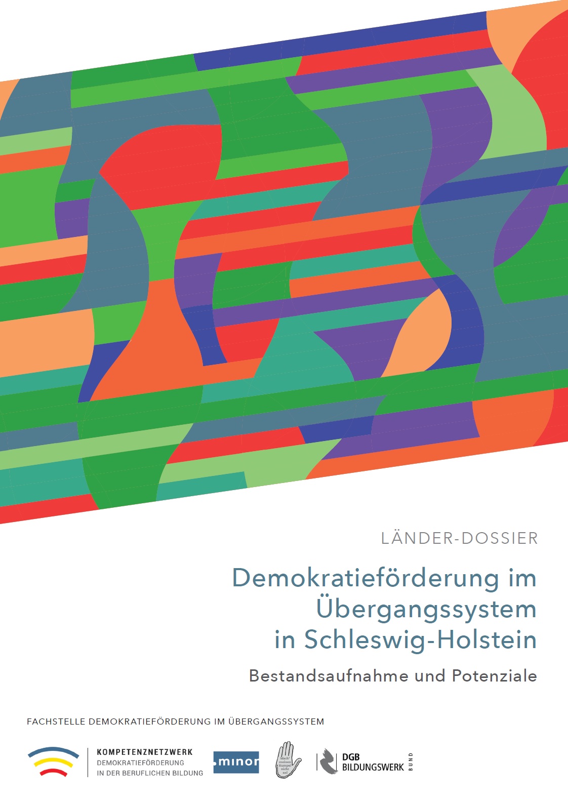 Das Cover zeigt in der oberen Bildhälfte unterschiedlich-gefärbte Formen. Im weißen Hintergrund darunter steht Demokratieförderung im Übergangssystem in Schleswig-Holstein.