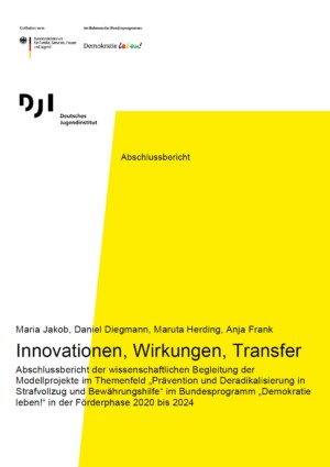 Das Bild ist farblich zweigeteilt. Links beginnt es mit der Farbe Weiß, die sich bis nach oben rechts erstreckt. Die Farbe Gelb beginnt ab der dem ersten Drittel des Bildes und nimmt fast die gesamte Fläche bis unten ein. Auf der weißen Fläche sind die Logos von Demokratie und dem DJI abgebildet. Und der Titel Innovationen, Wirkungen, Transfer beginnt auf der weißen Fläche, erstreckt sich dann aber über die gelbe Fläche.