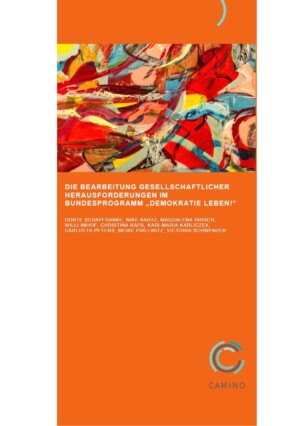 Ein abstrakt gemaltes Bild bildet den Anfang des Gesamtbildes. Darunter steht DIE BEARBEITUNG GESELLSCHAFTLICHER HERAUSFORDERUNGEN IM BUNDESPROGRAMM „DEMOKRATIE LEBEN!“. Das Bild gehört zum Beitrag Abschlussbericht Innovationsfonds.