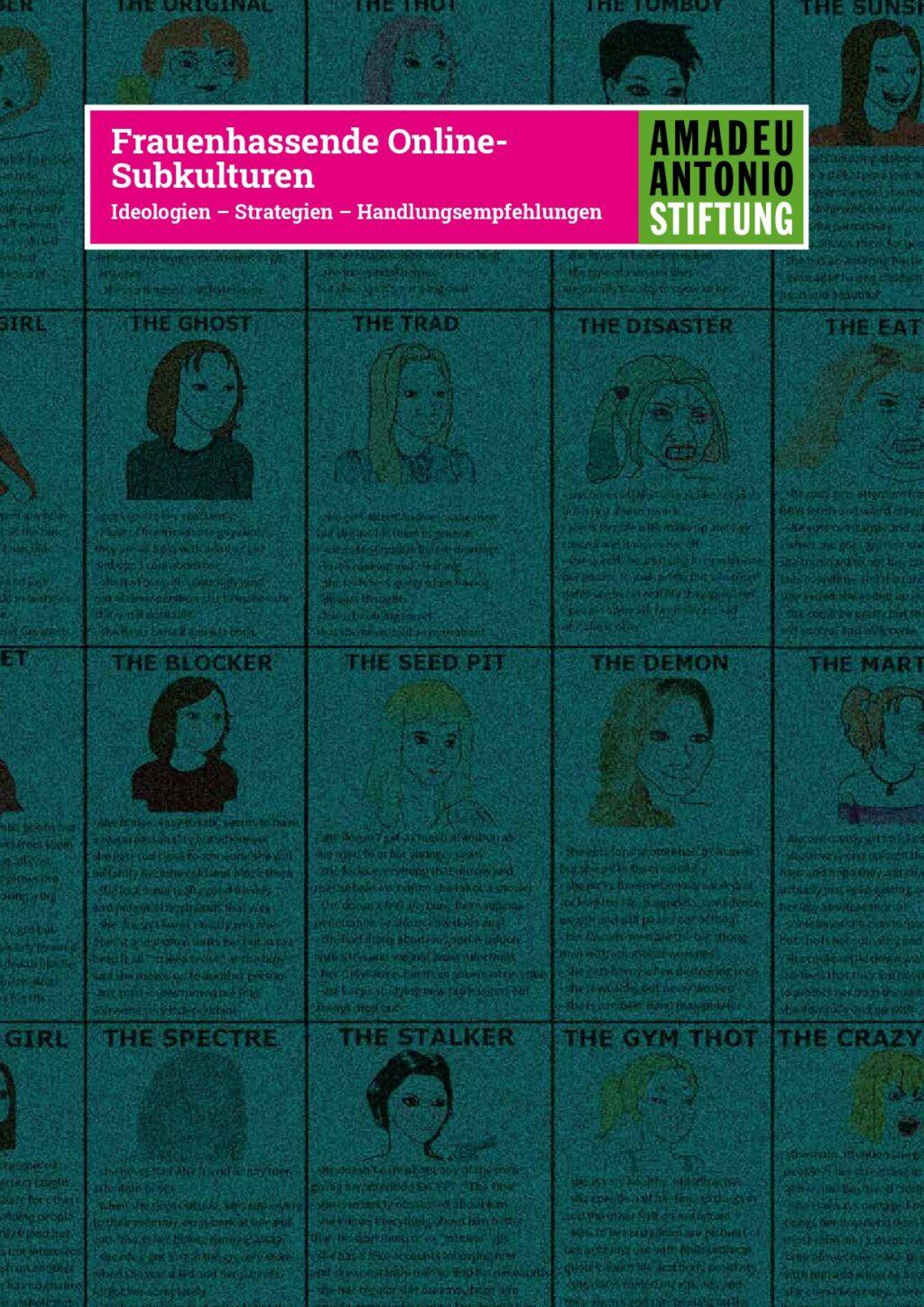 Cover von Frauenhassende Online-Subkulturen. Ideologien – Strategien – Handlungsempfehlungen