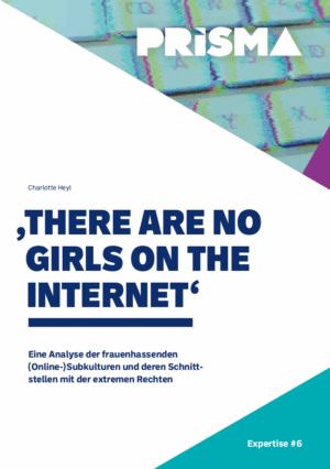 Cover von Expertise #6: "There are no Girls on the Internet". Eine Analyse der frauenhassenden (Online-) Subkulturen und deren Schnittstellen mit der extremen Rechten