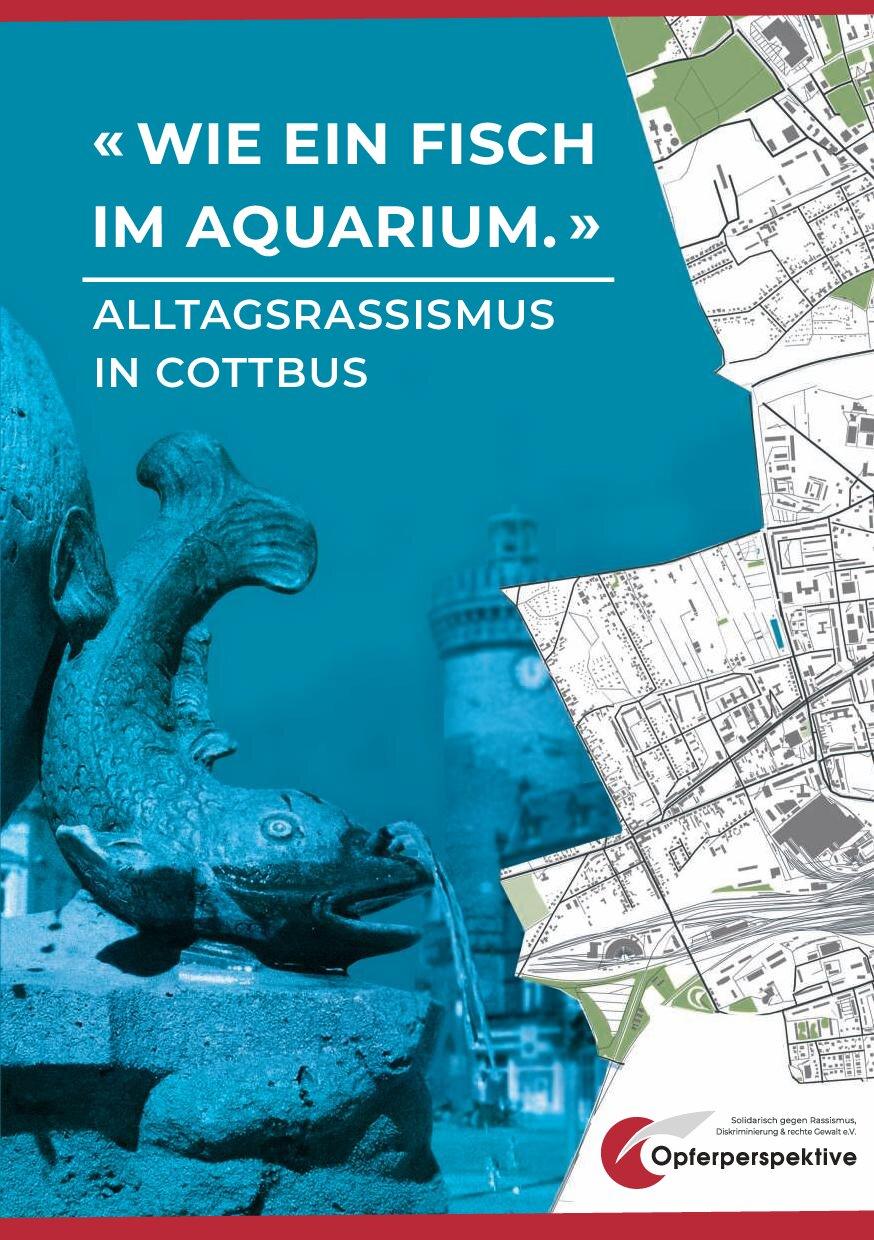 Cover von "WIE EIN FISCH IM AQUARIUM". ALLTAGSRASSISMUS IN COTTBUS
