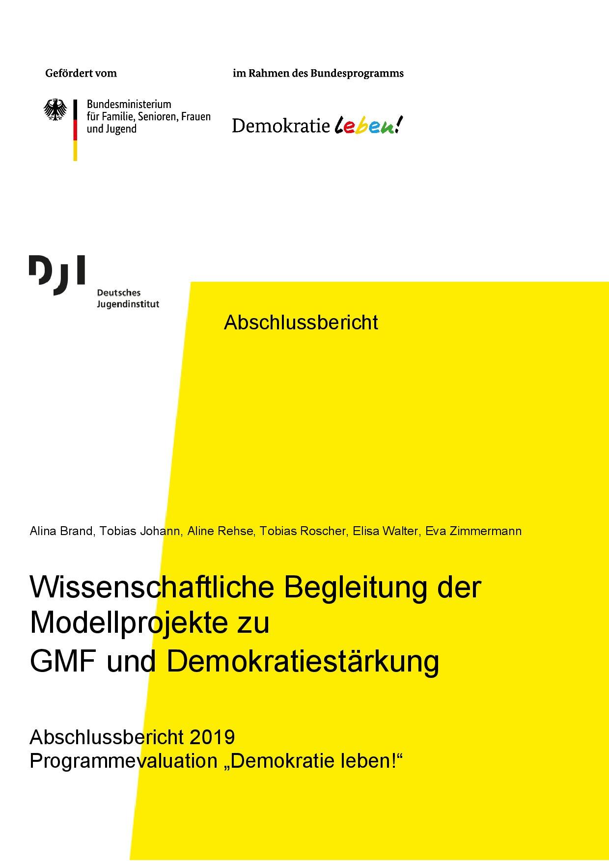 Cover von Wissenschaftliche Begleitung der Modellprojekte zu GMF und Demokratiestärkung. Abschlussbericht 2019. Programmevaluation "Demokratie leben!"