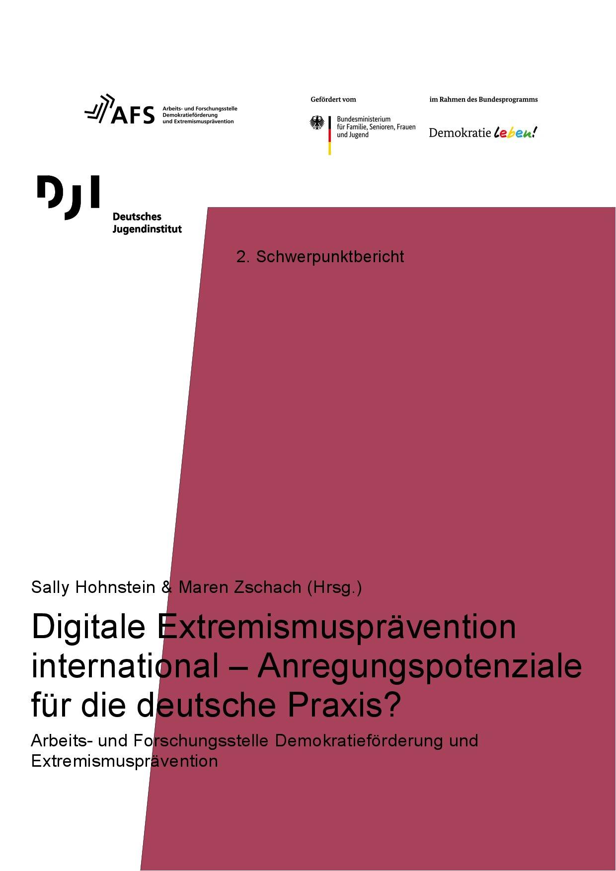 Cover von 2. Schwerpunktbericht. Digitale Extremismusprävention international – Anregungspotenziale für die deutsche Praxis? Arbeits- und Forschungsstelle Demokratieförderung und Extremismusprävention