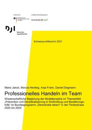 Cover von Professionelles Handeln im Team. Wissenschaftliche Begleitung der Modellprojekte im Themenfeld "Prävention und Deradikalisierung in Strafvollzug und Bewährungshilfe" im Bundesprogramm "Demokratie leben!" in der Förderphase 2020 bis 2024