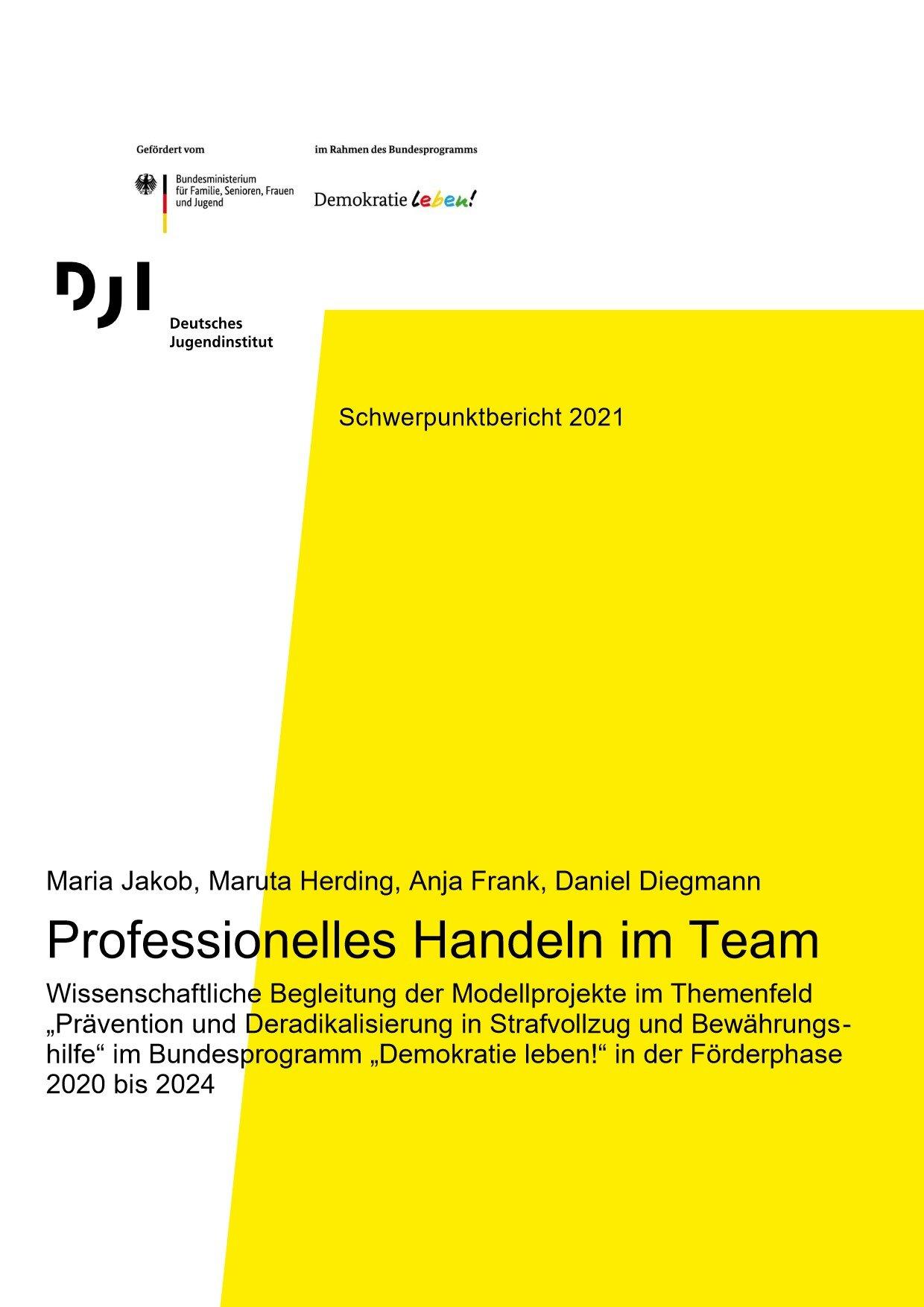 Cover von Professionelles Handeln im Team. Wissenschaftliche Begleitung der Modellprojekte im Themenfeld "Prävention und Deradikalisierung in Strafvollzug und Bewährungshilfe" im Bundesprogramm "Demokratie leben!" in der Förderphase 2020 bis 2024