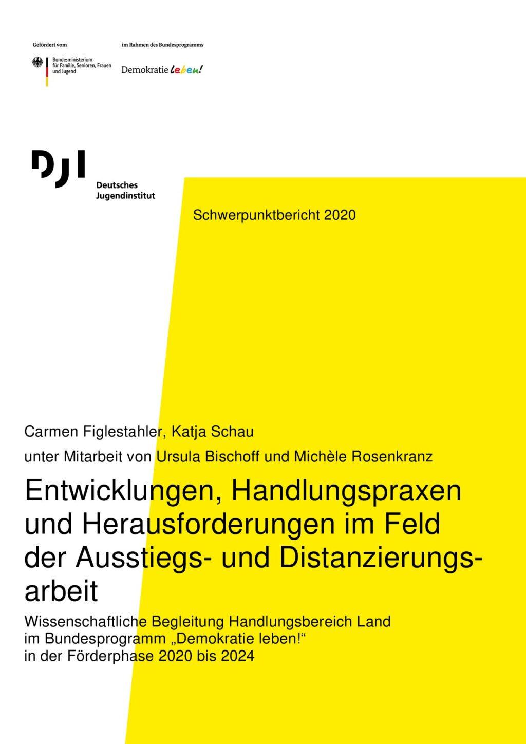 Cover von Entwicklungen, Handlungspraxen und Herausforderungen im Feld der Ausstiegs- und Distanzierungsarbeit. Wissenschaftliche Begleitung Handlungsbereich Land im Bundesprogramm "Demokratie leben!" in der Förderphase 2020 bis 2024. Schwerpunktbericht 2020