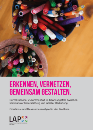 Cover von Erkennen, vernetzen, gemeinsam gestalten. Demokratischer Zusammenhalt im Spannungsfeld zwischen kommunaler Unterstützung und latenter Bedrohung. Situations- und Ressourcenanalyse für den Ilm-Kreis