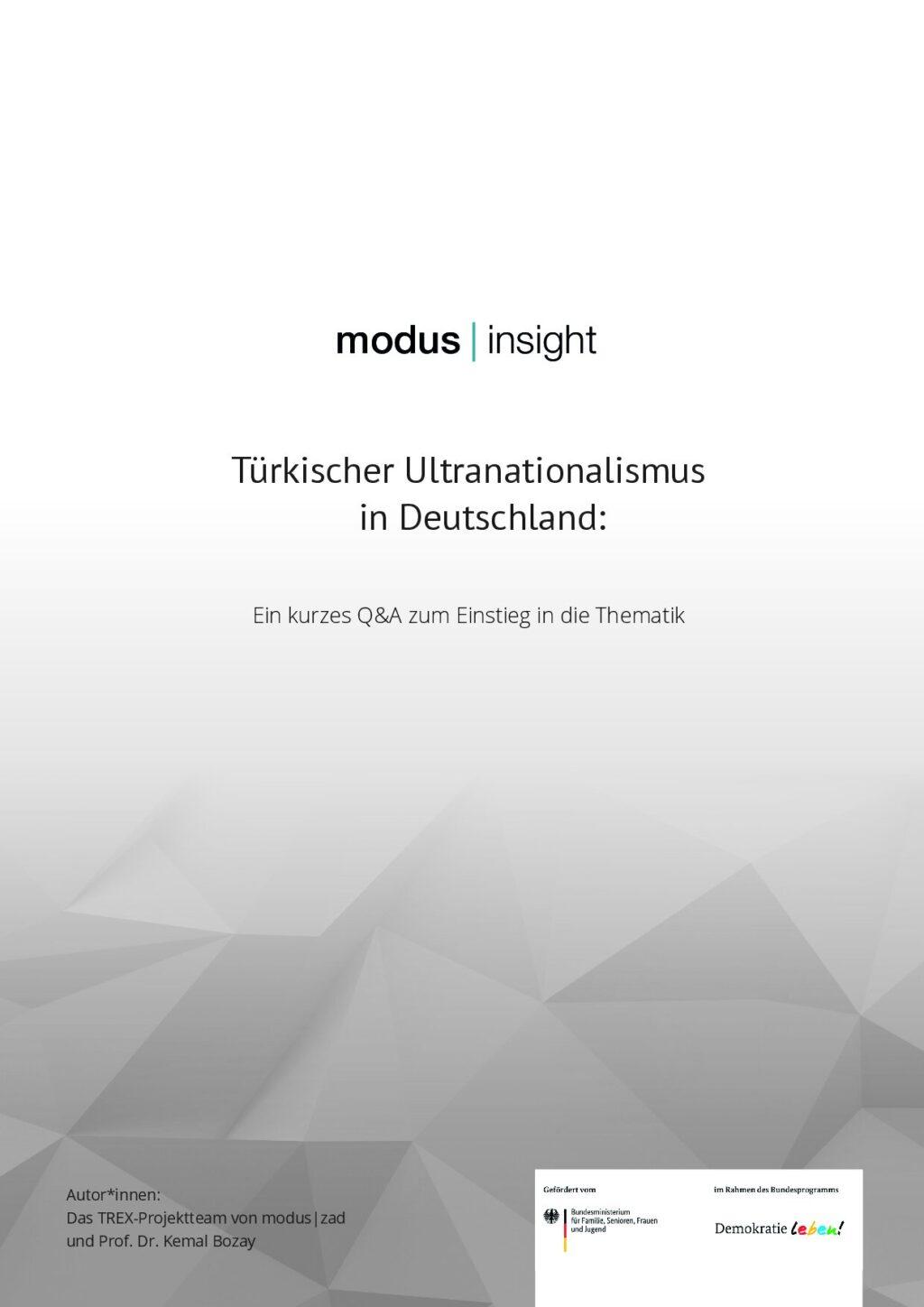 Cover von modus insight – Türkischer Ultranationalismus in Deutschland: Ein kurzes Q&A zum Einstieg in die Thematik