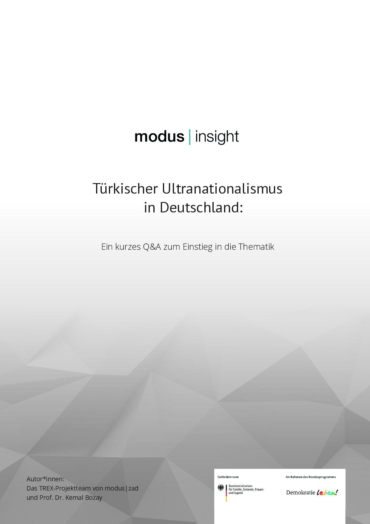 Cover von modus insight – Türkischer Ultranationalismus in Deutschland: Ein kurzes Q&A zum Einstieg in die Thematik