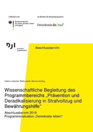 Cover von Abschlussbericht. Wissenschaftliche Begleitung des Programmbereichs "Prävention und Deradikalisierung in Strafvollzug und Bewährungshilfe". Abschlussbericht 2019 Programmevaluation "Demokratie leben!"