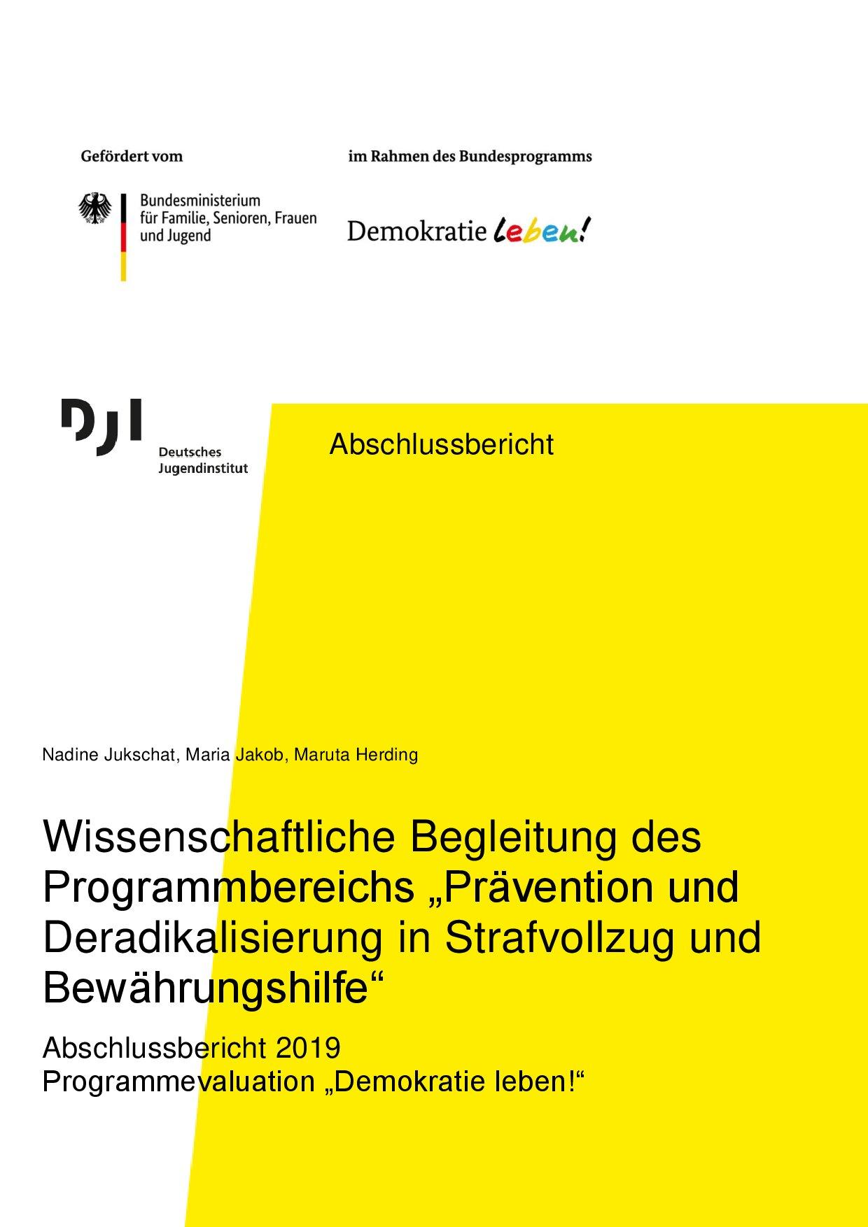 Cover von Abschlussbericht. Wissenschaftliche Begleitung des Programmbereichs "Prävention und Deradikalisierung in Strafvollzug und Bewährungshilfe". Abschlussbericht 2019 Programmevaluation "Demokratie leben!"