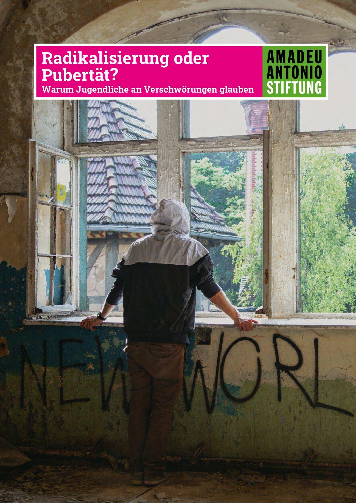 Cover von Radikalisierung oder Pubertät? Warum Jugendliche an Verschwörungen glauben