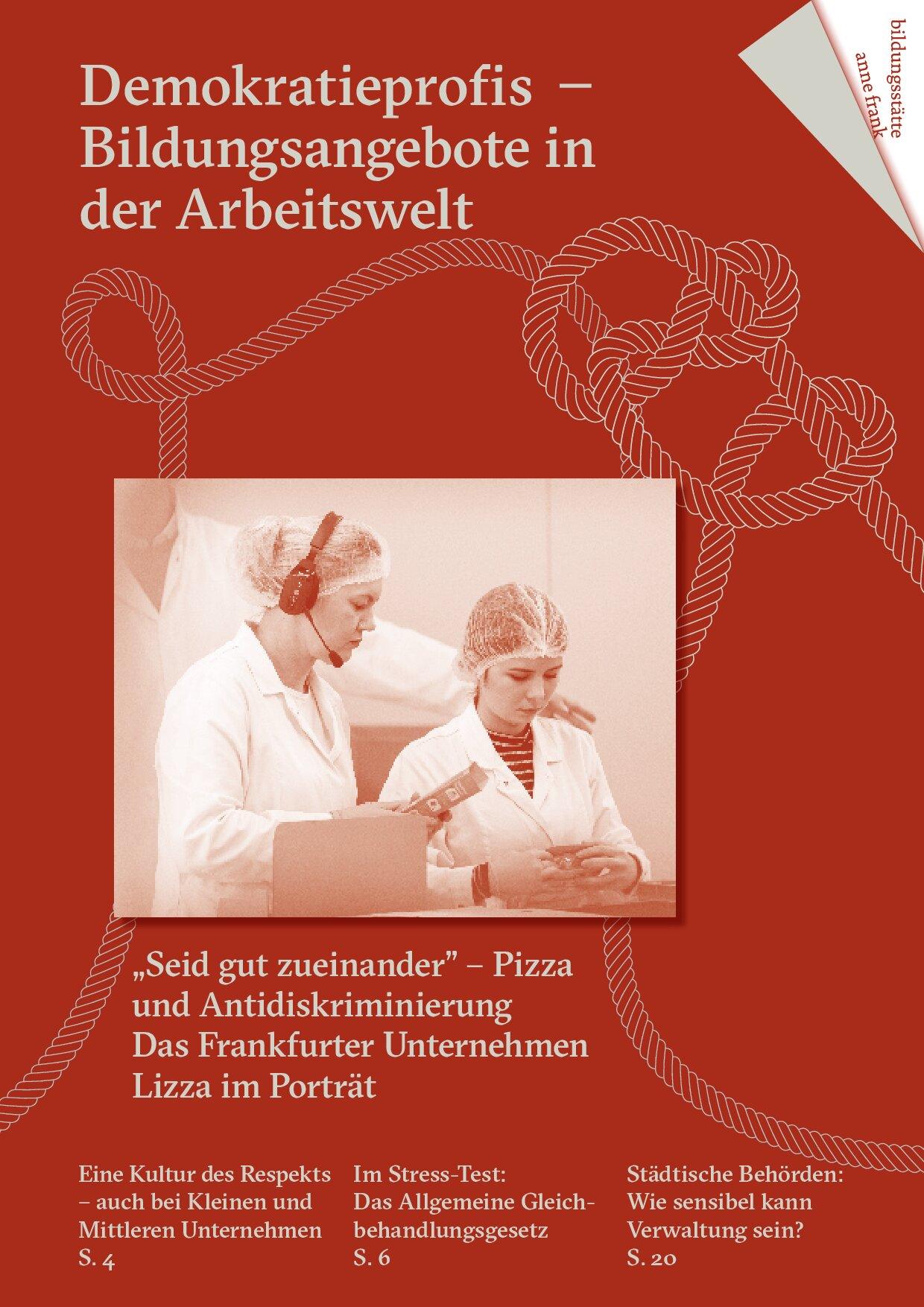 Cover von Demokratieprofis — Bildungsangebote in der Arbeitswelt