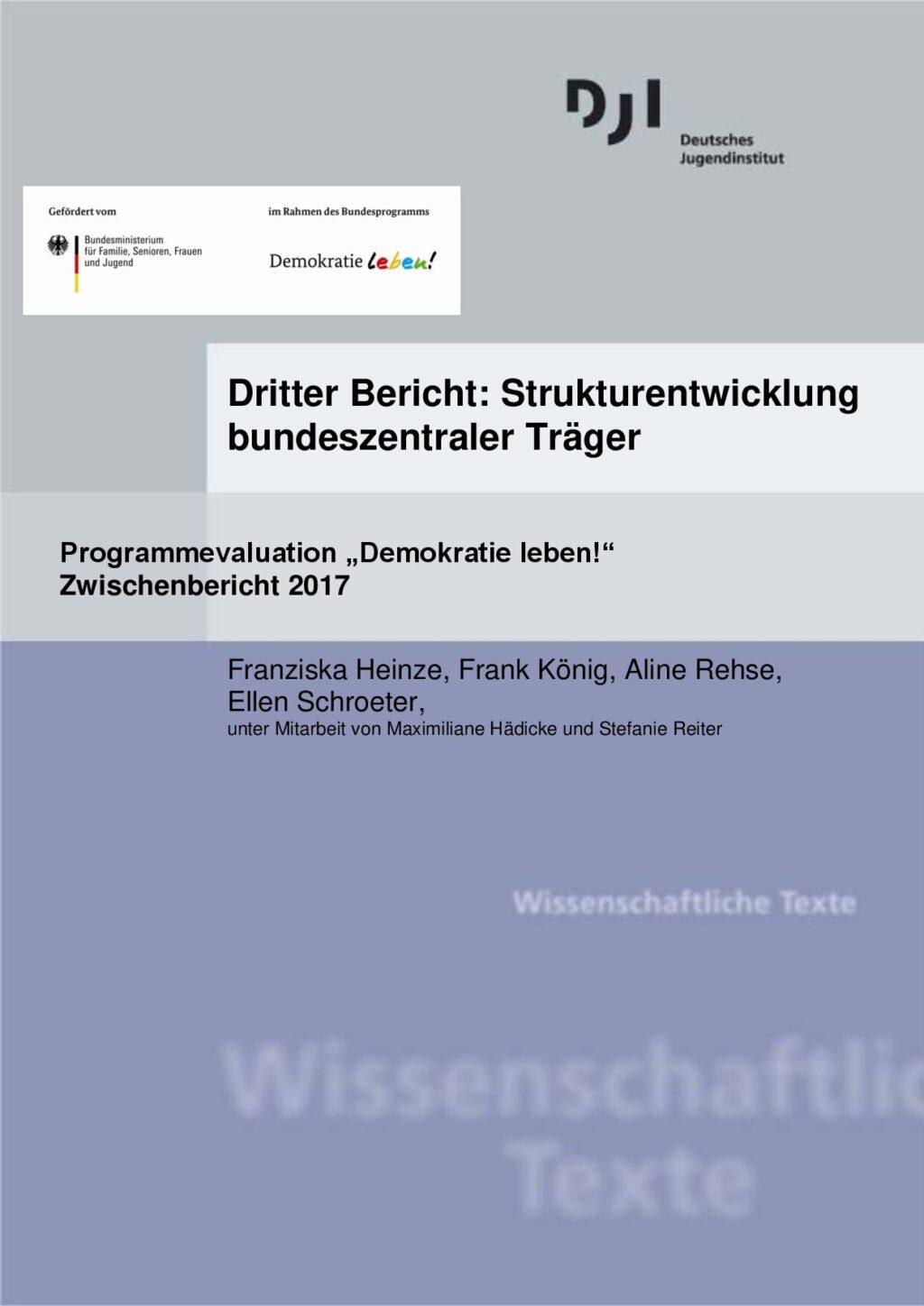 Cover von Dritter Bericht: Strukturentwicklung bundeszentraler Träger. Programmevaluation "Demokratie leben!". Zwischenbericht 2017