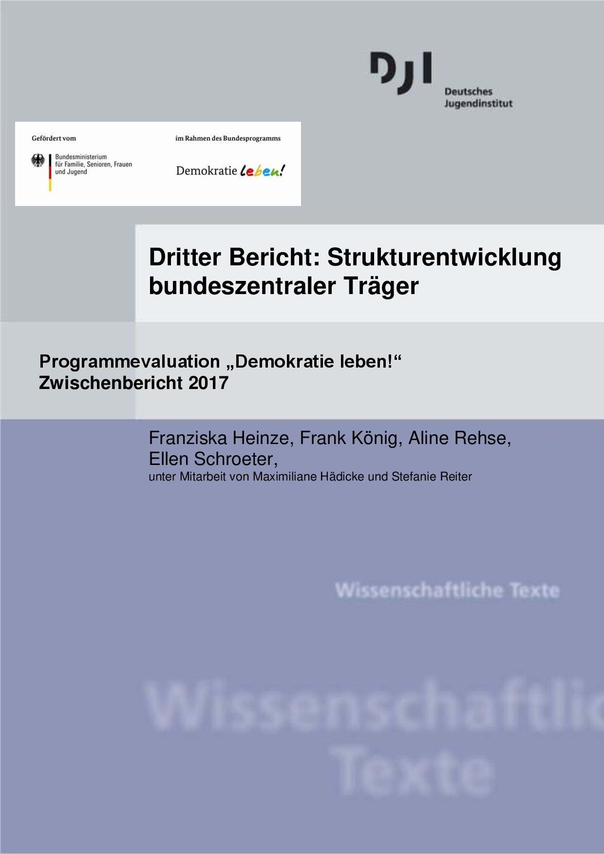 Cover von Dritter Bericht: Strukturentwicklung bundeszentraler Träger. Programmevaluation "Demokratie leben!". Zwischenbericht 2017