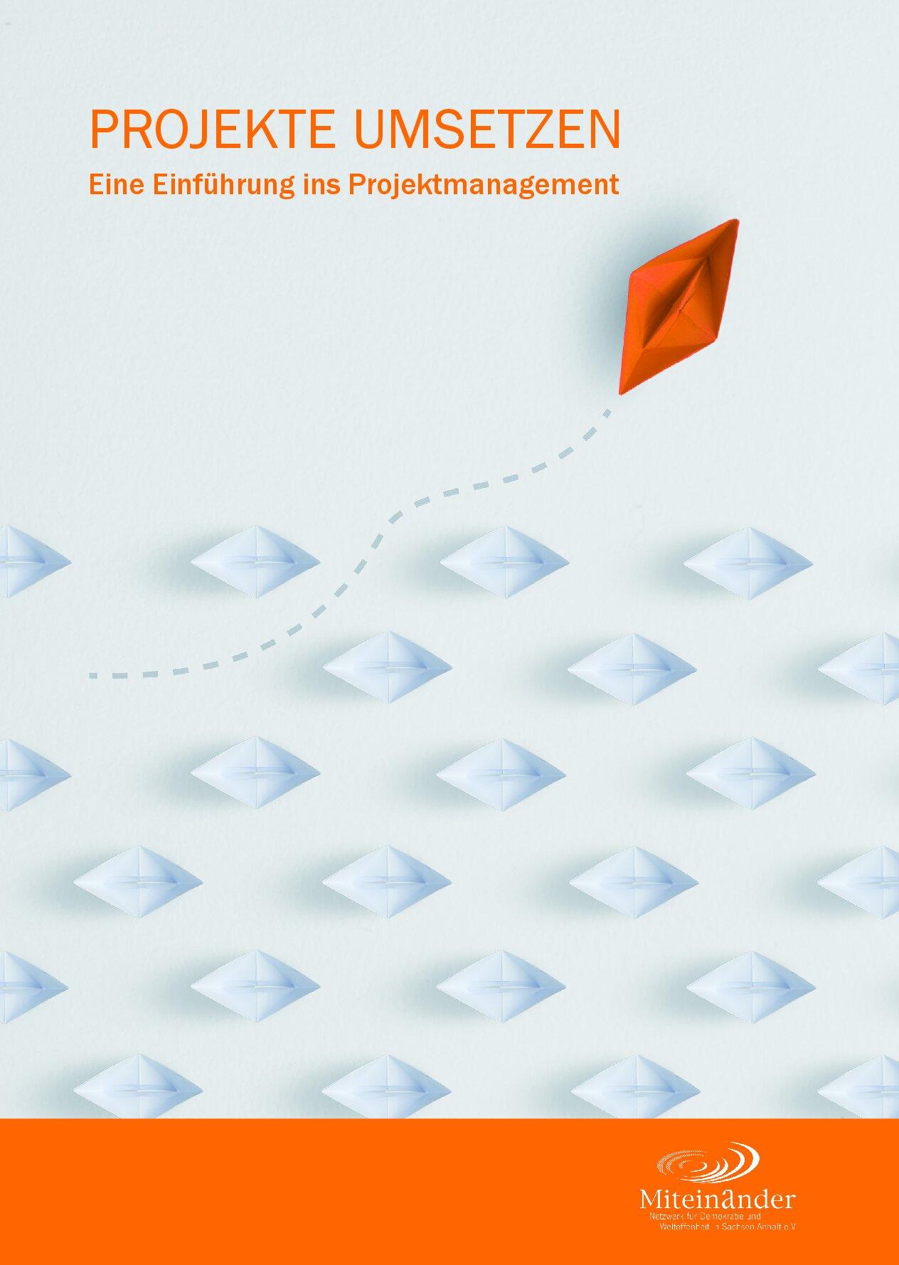 Cover von Projekte umsetzen. Eine Einführung ins Projektmanagement
