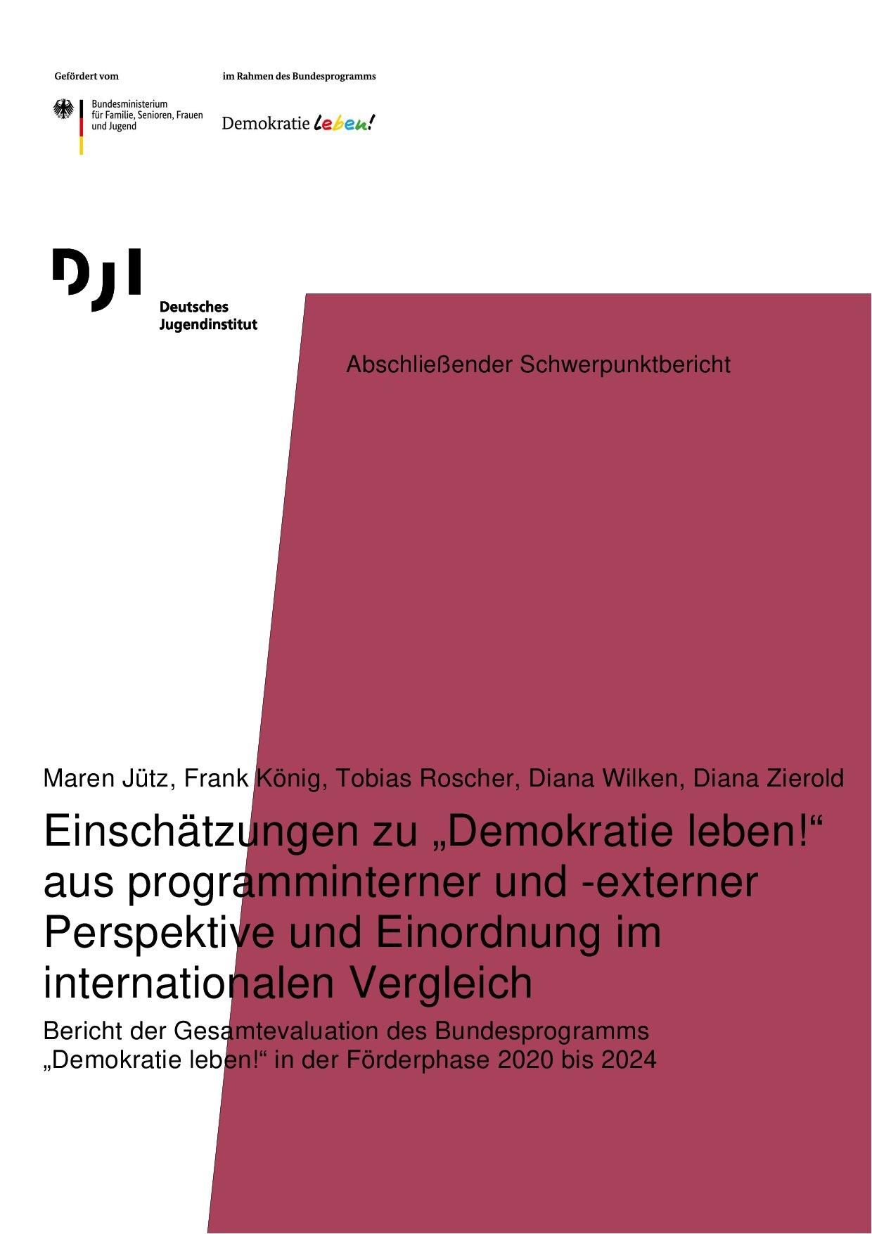 Cover von Abschließender Schwerpunktbericht: Einschätzungen zu "Demokratie leben!" aus programminterner und -externer Perspektive und Einordnung im internationalen Vergleich. Bericht der Gesamtevaluation des Bundesprogramms "Demokratie leben!" in der Förderphase 2020 bis 2024