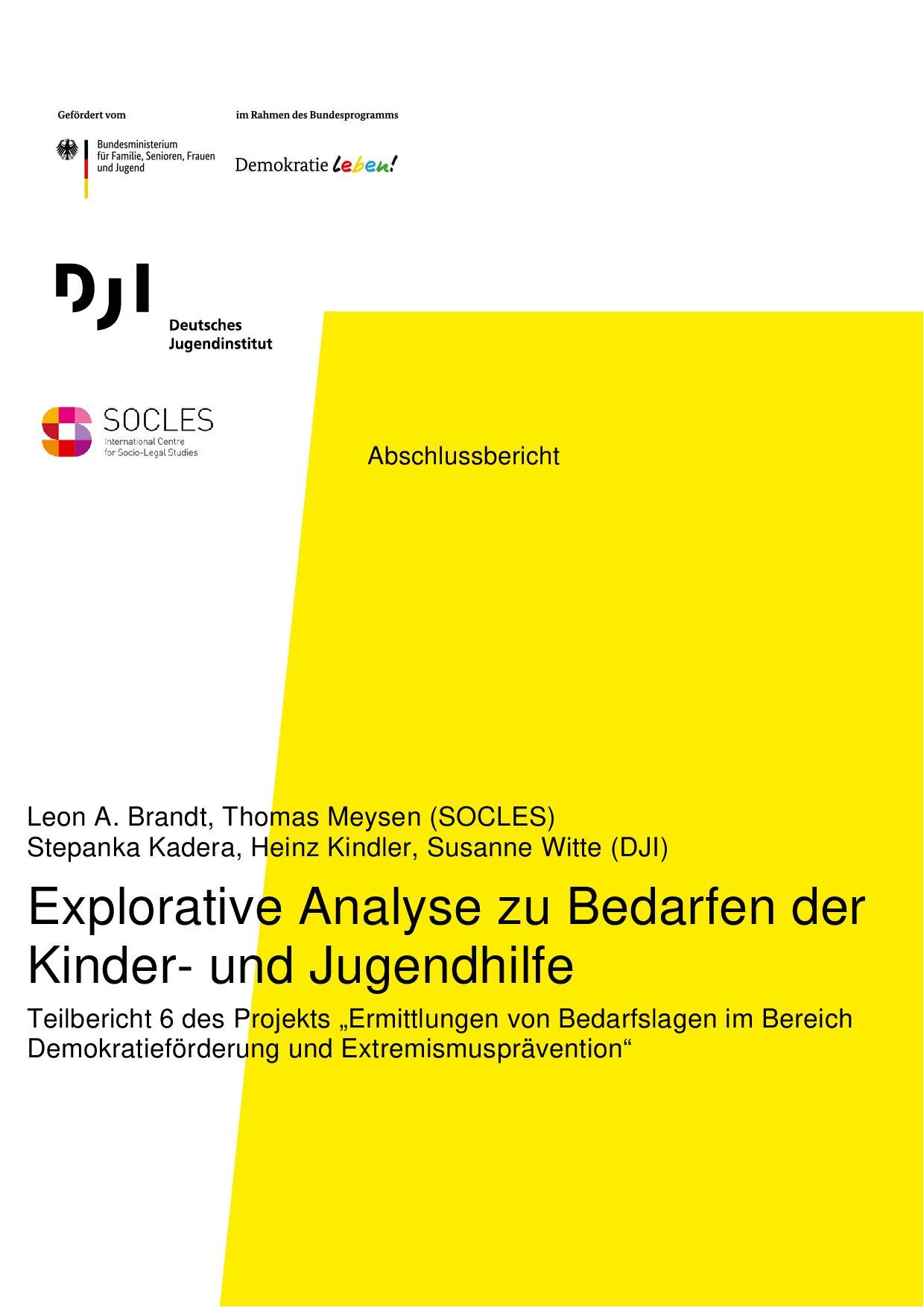 Cover von Abschlussbericht: Explorative Analyse zu Bedarfen der Kinder- und Jugendhilfe. Teilbericht 6 des Projekts "Ermittlungen von Bedarfslagen im Bereich Demokratieförderung und Extremismusprävention"