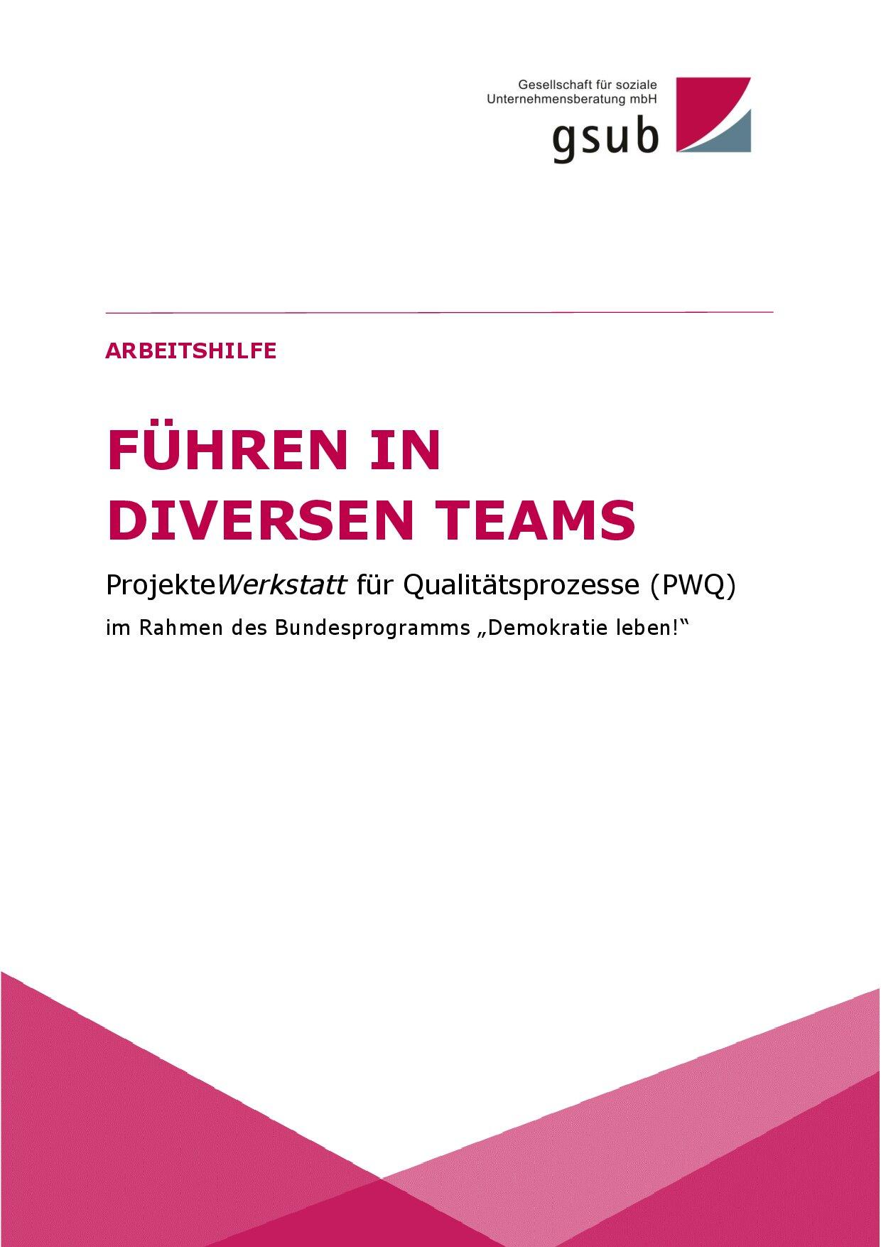 Cover von Führen in diversen Teams. Arbeitshilfe
