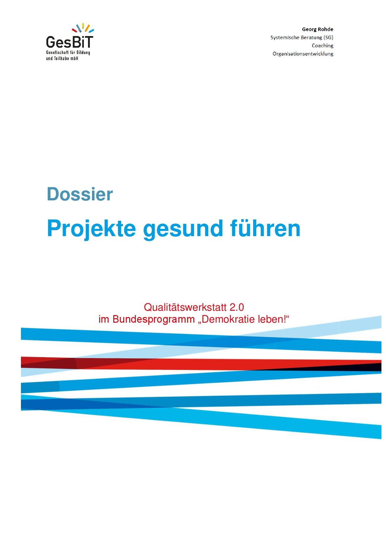 Cover von Projekte gesund führen