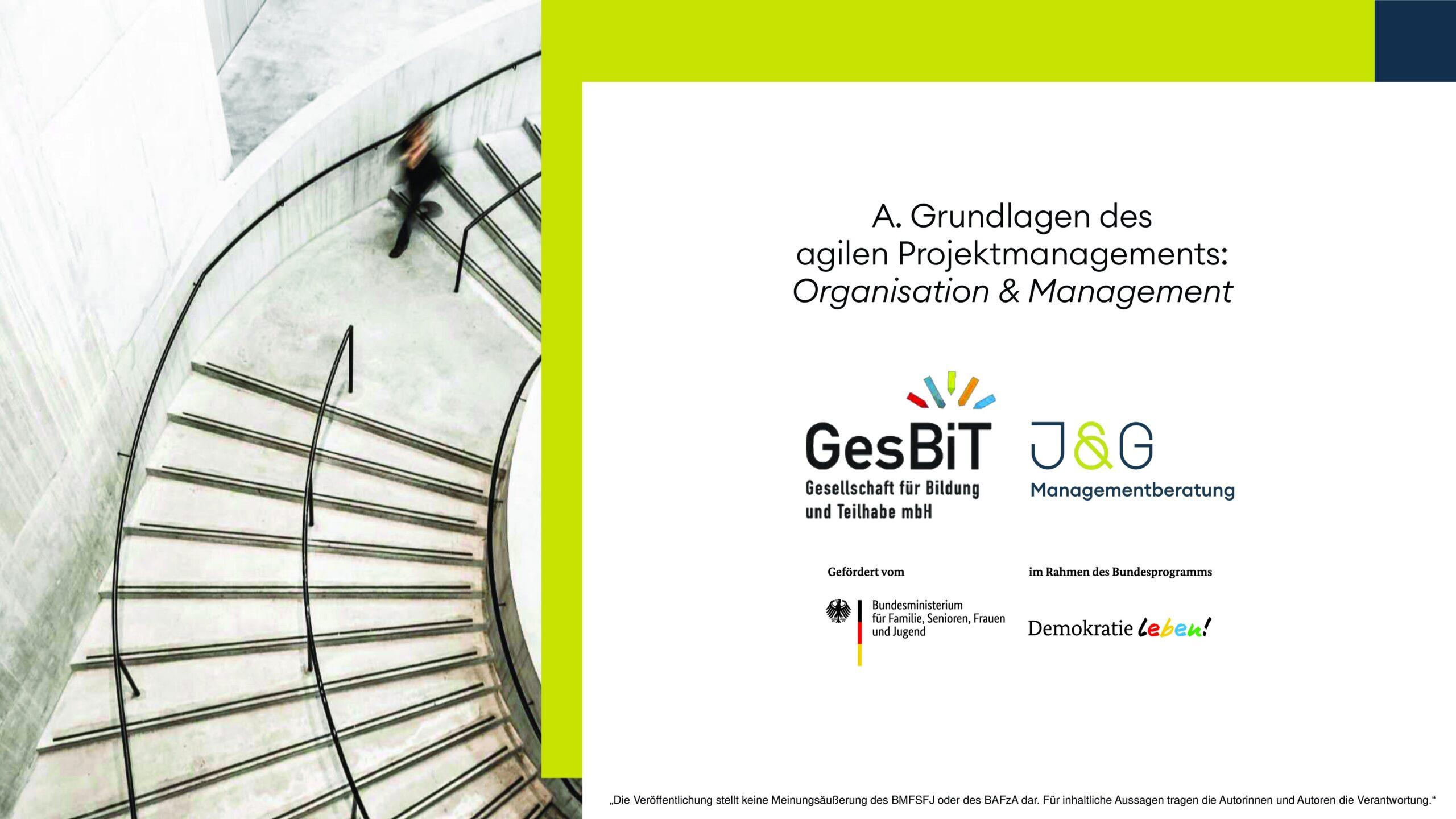 Cover von Projektsteuerung, Teamführung & Beratungsarbeit hybrid: Ansätze für ein neues "Normal" in Demokratieprojekten: Dossiers