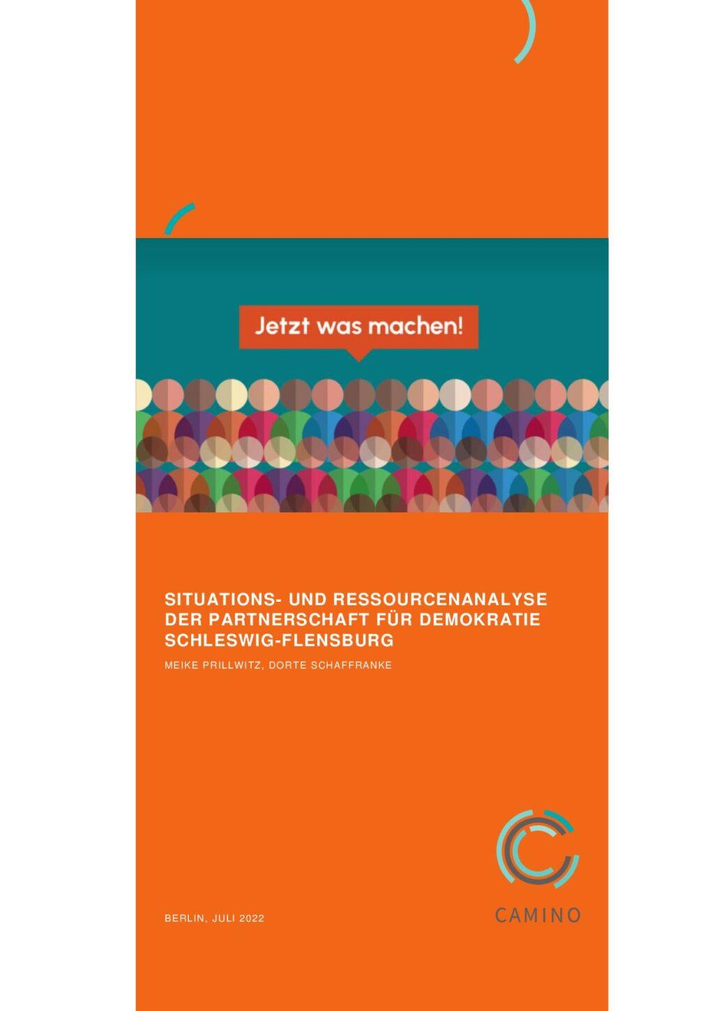 Cover von Jetzt was machen! Situations- und Ressourcenanalyse der Partnerschaft für Demokratie Schleswig-Flensburg