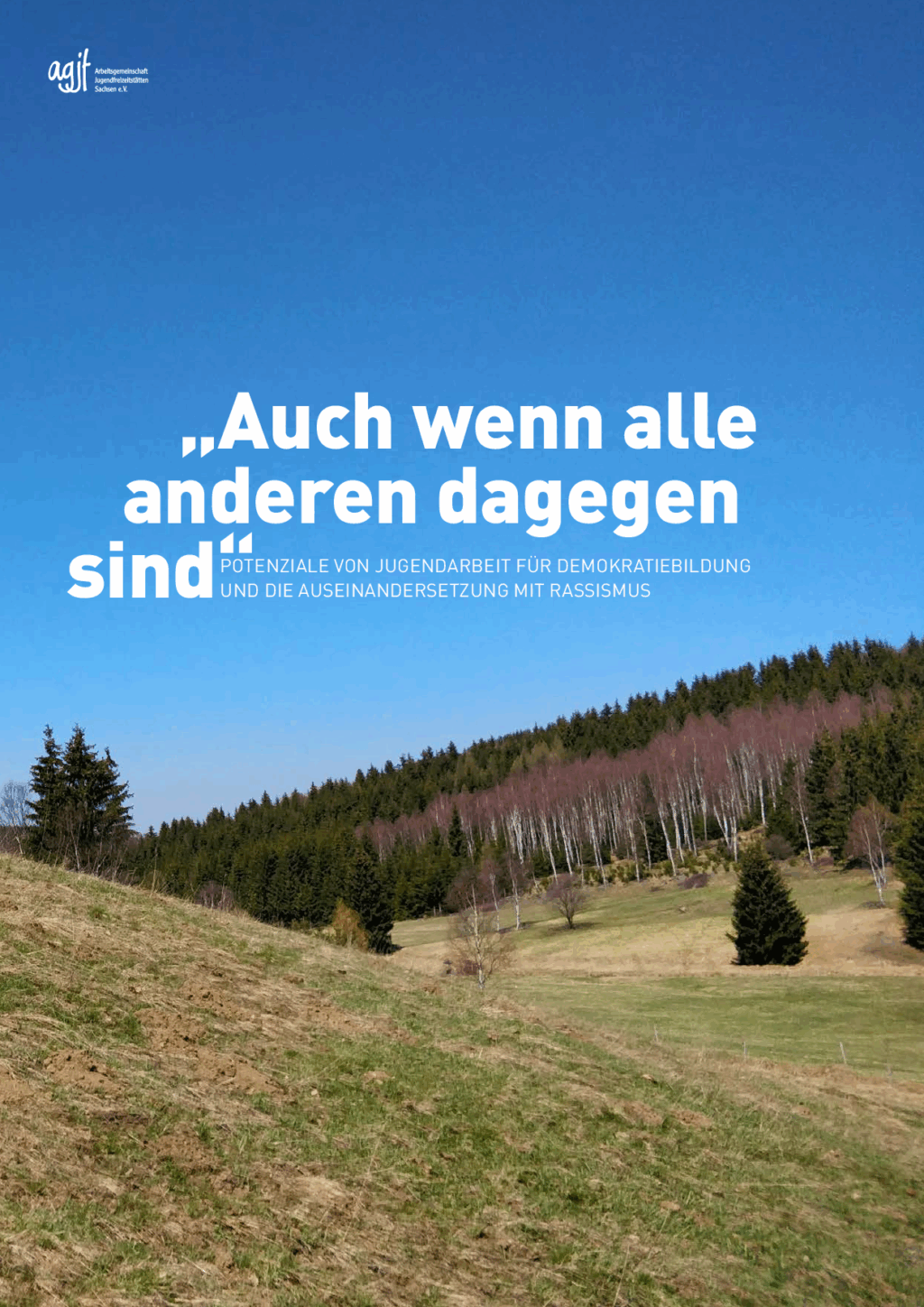 Cover von "Auch wenn alle anderen dagegen sind." Potenziale von Jugendarbeit für Demokratiebildung und die Auseinandersetzung mit Rassismus